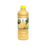 JUGO LITRO BOTELLA